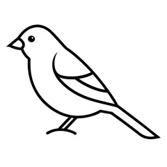 bird on a branch