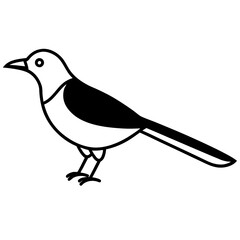 bird on a white background
