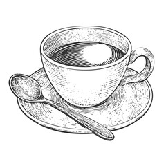 Cup of Tea Hand-Drawn Vector, Graphic Style, Cartoon Illustration, Black and White, Sketch Style, Isolated on White Background