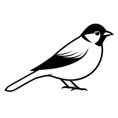 bird on a branch