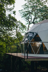 tent in the woods