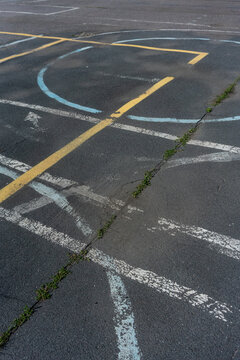 Weathered Pavement Markings with Grass Growth