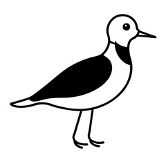 duck isolated on white