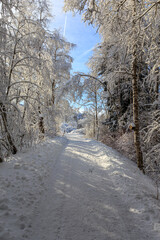 Winterwonderland at Lake Gruenten near Wertach