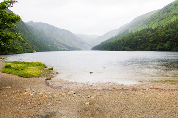Serene Mountain Lake with Trees