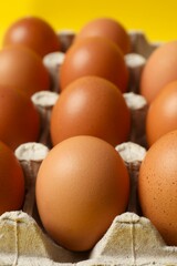 Сhicken eggs in a cardboard tray