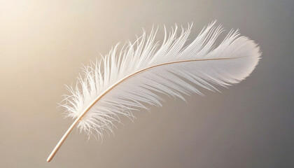 Soft white feather resting gently on a neutral background with delicate details and shadows captured in natural light