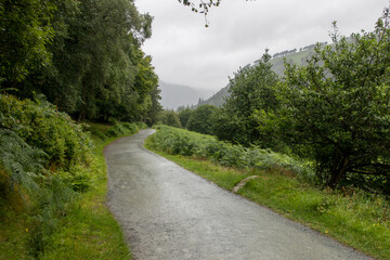 Rainy Path Along the Hillside