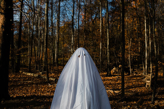 Spooky Halloween Ghost and her Dog