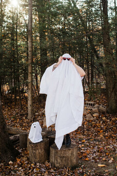 Spooky Halloween Ghost and her Dog
