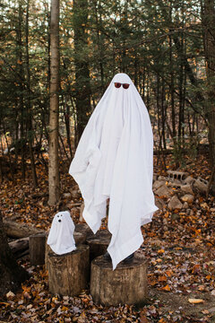 Spooky Halloween Ghost and her Dog