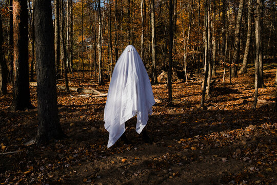 Spooky Halloween Ghost and her Dog