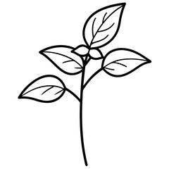 black and white flower