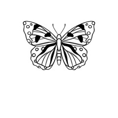 Line art butterfly, Layout for printing illustrations on T-shirts, notepads, covers