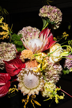 Exotic Flower Arrangement with Protea, Hydrangea, and Anthurium