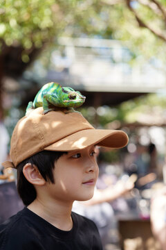 Closeup of Asian boy and green pet lizard outdoors