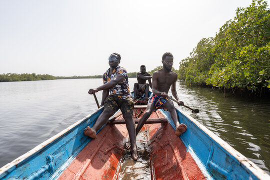 Fishermen rowing pirogue in delta saloum, senegal