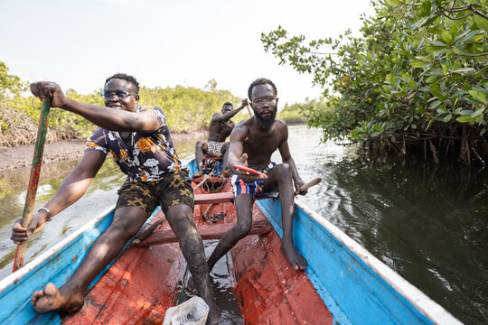Fishermen rowing pirogue through mangroves in delta saloum, senegal