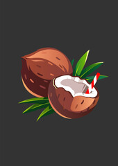 coconut illustration