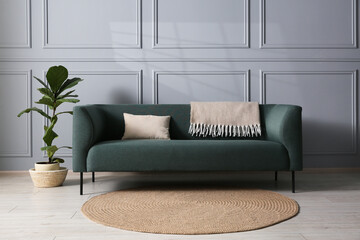 Comfortable sofa and houseplant near grey wall in room