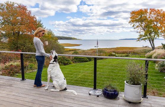 Exterior porch view of fall foliage with woman and dog