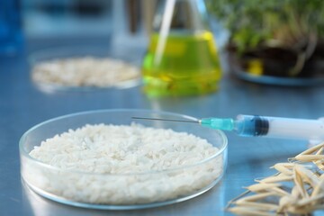 GMO concept. Different raw grains in Petri dishes, microgreens, syringe and other equipment on table in laboratory, closeup