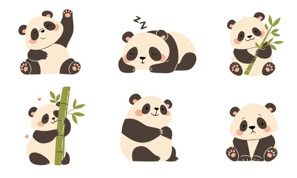 A set of flat vector illustrations in a simple children's style. Cute pandas in different poses. Sleeping, with bamboo, funny and sad on a white background . Vector illustration