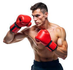 Russian pro boxer wearing red boxing gloves in fighting stance