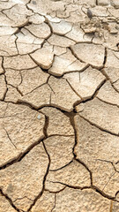 dry cracked soil background