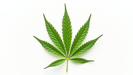 Professional Image of a Cannabis Leaf for Medical Branding