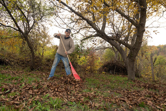 Leaf removal with rake.