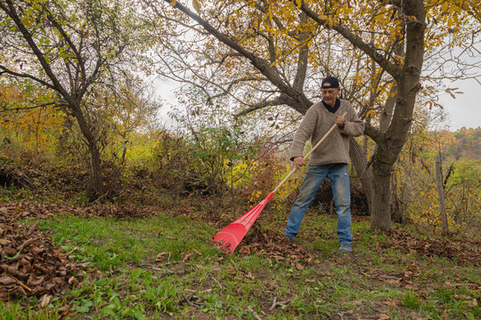 Leaf removal with rake.