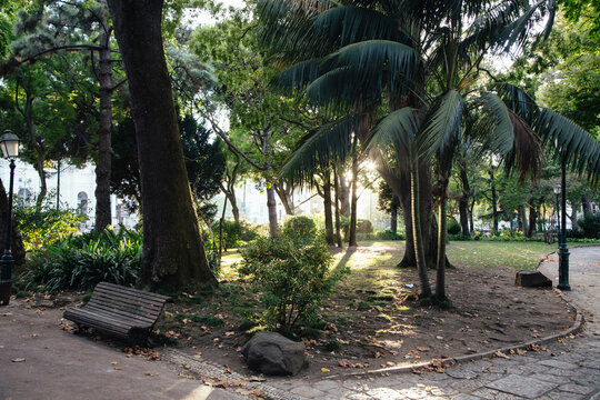 Tranquil park at sunrise with lush greenery and benches