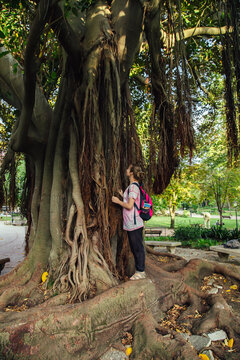 Tourist Exploring the Majestic Roots of a Giant Banyan Tree in the Par