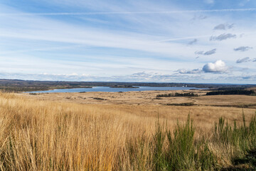 Au premier plan, les herbes jaunies des Monts d'Arr&eacute;e dominent le paysage, tandis qu&rsquo;au loin, le lac de Brennilis s&rsquo;&eacute;tend sous un ciel bleu voil&eacute;.