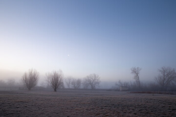 Beautiful peaceful idyllic foggy Autumn or Winter morning in a rural country back yard with trees as an inspirational background or greeting card with ad or copy space