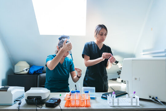 Two young Vet doctors doing laboratory work