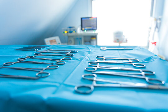 Veterinary Surgery Room