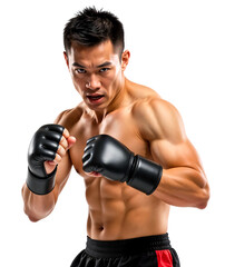 A muscular Asian fighter wearing black fingerless combat gloves in a fighting stance