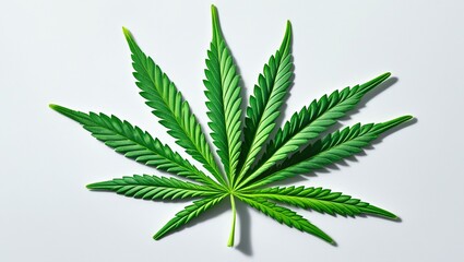 High-Resolution Cannabis Leaf for Medical Use Design