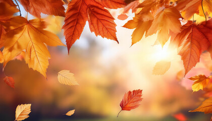 vibrant autumn leaves falling against a tender background seasonal nature photo
