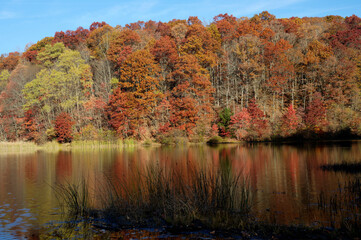 A serene landscape captures a forest in full autumn bloom, with vibrant shades of red and orange reflecting on a calm lake. 