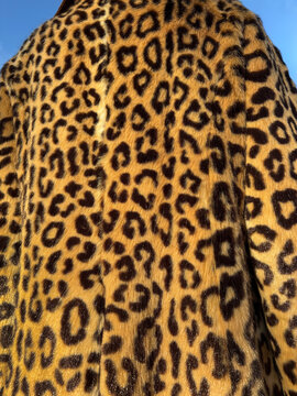 panther pattern coat