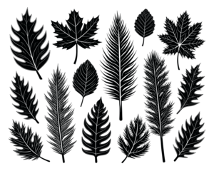 set of leaves silhouettes