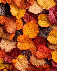Vibrant Autumn Leaves Background Autumnal Foliage Texture of Red Orange and Brown Leaves