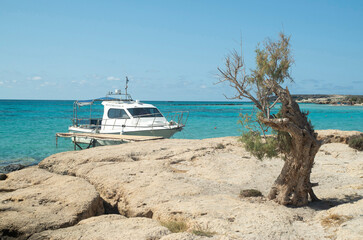 Small white wooden pier with anchored boat and old lonely tree in sea in Greece