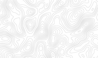 Fototapeta premium Topographic map. Geographic mountain relief. Abstract lines background. Contour maps. Vector illustration, Modern design with White background with topographic wavy pattern. 