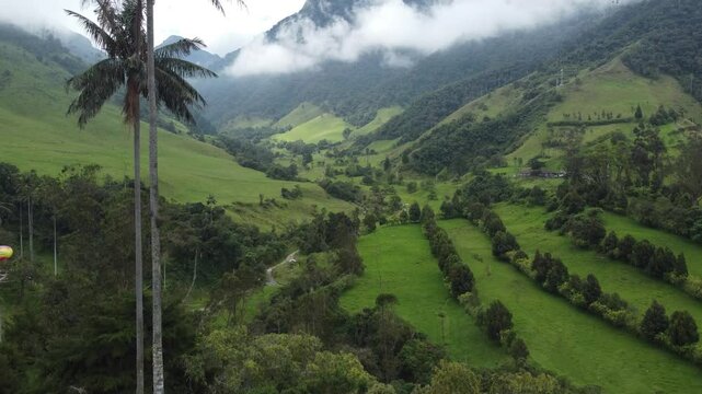 valle del cocora salento quindio colombia