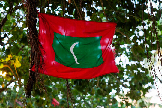  Maldives Flag in Lush Tropical Setting 