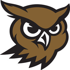 owl on white background